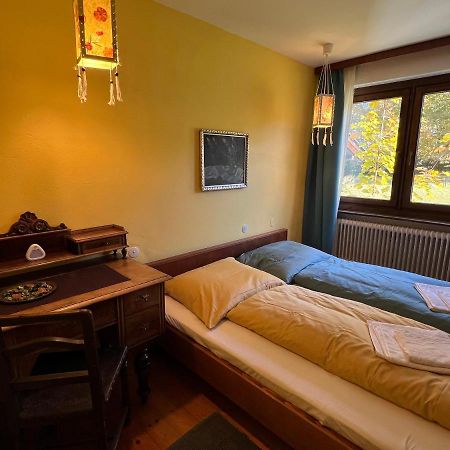דירות סאלפלדן אם שטיינרן מיר Haus Im Gruenen מראה חיצוני תמונה